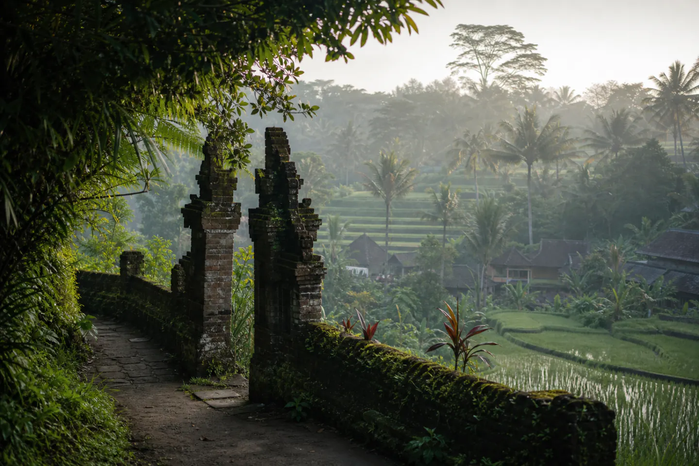 Ubud landscape in Bali